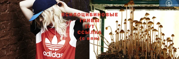 бошки Алзамай